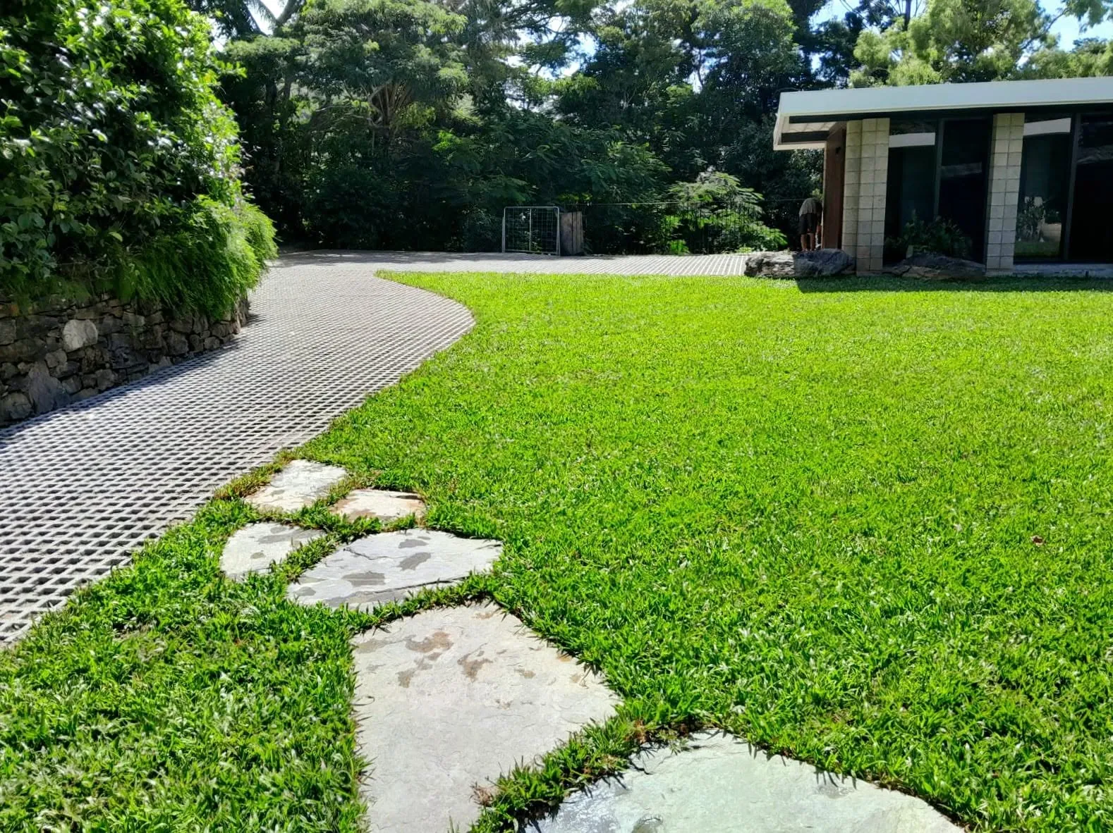 Turfed lawn with stone stepping stones and a grass paver driveway